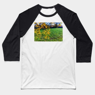 Yellow birch leaves in autumn season with green grass background Baseball T-Shirt